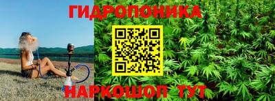 эйфоретик Камышлов