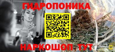 эйфоретик Камышлов
