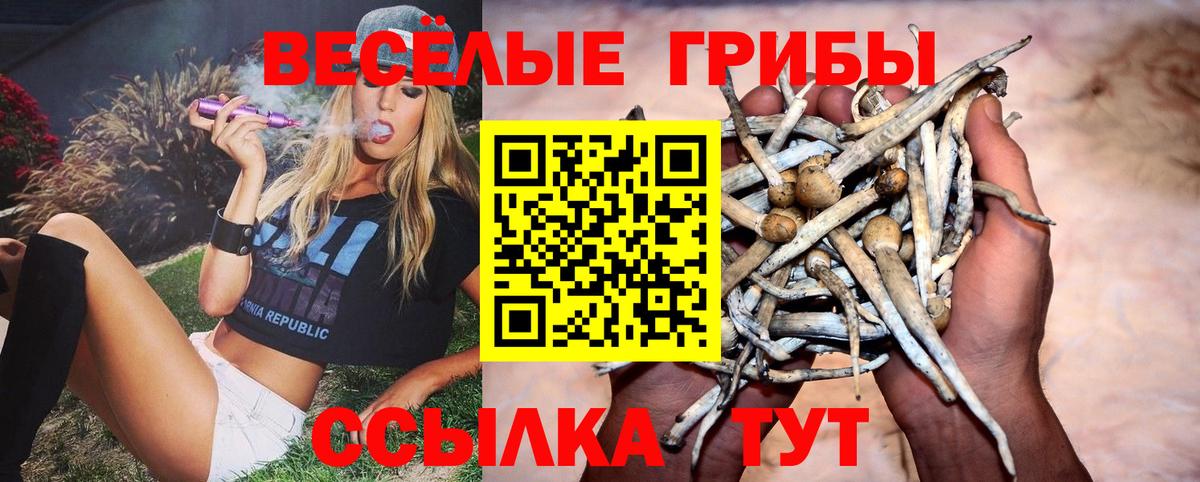 Галлюциногенные грибы Psilocybine cubensis Лысьва