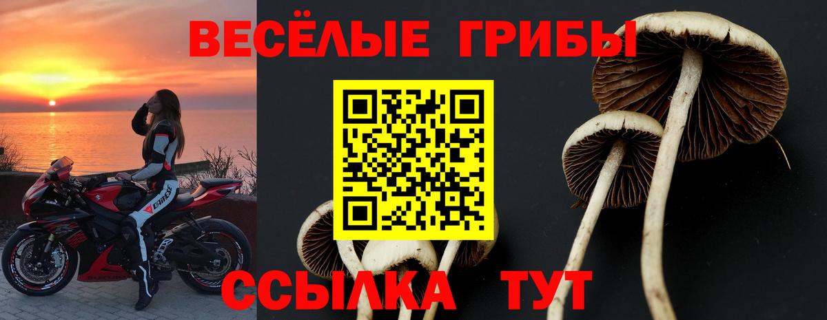 Лысьва  Псилоцибиновые грибы прущие грибы  Галлюциногенные грибы прущие грибы  Вход с VPN 
